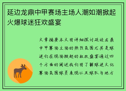 延边龙鼎中甲赛场主场人潮如潮掀起火爆球迷狂欢盛宴